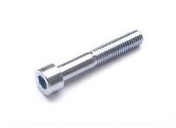 Bolt M10x100mm